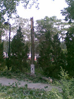 20090604.jpg