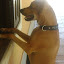 Thor dando uma espiadinha