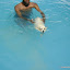 DSC09528.JPG