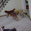 DSC09995.JPG