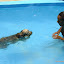 DSC00456.JPG