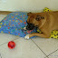 DSC00768.JPG