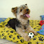 DSC00796.JPG