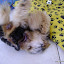 DSC00785.JPG