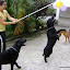 DSC00795.JPG