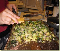 IMG_0151 IMG_0151