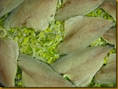 DSCN0916 DSCN0916