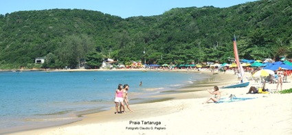 Tartaruga 1 Tartaruga 1
