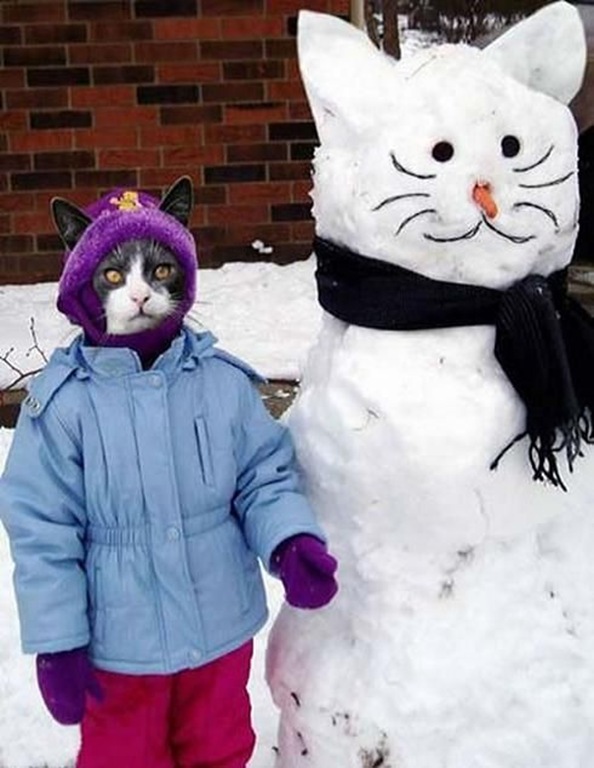 cat%20and%20snowman%20in%20icypeppersochilly.blogspot.com%5B5%5D.jpg