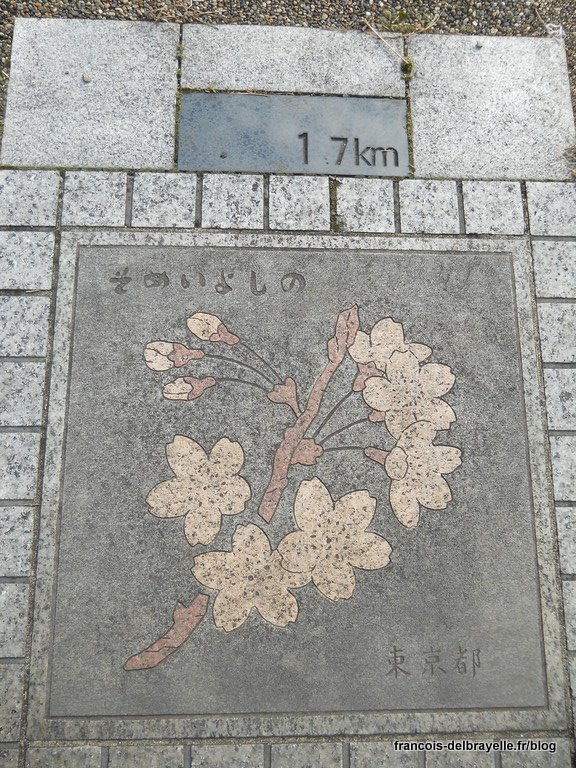 1.7 km - Cerisier Someiyoshino 1.7 km - Cerisier Someiyoshino