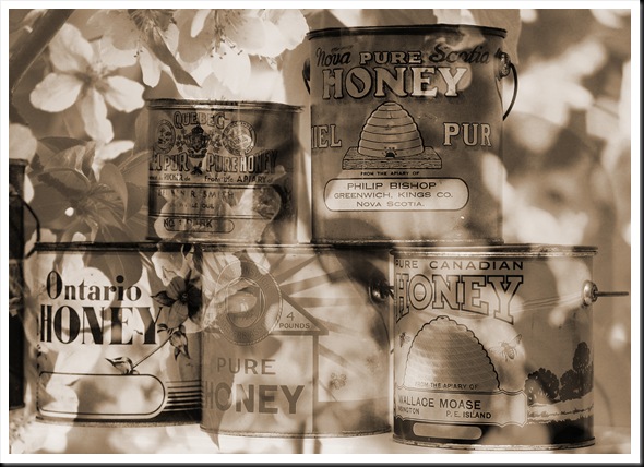 Where Honey Comes From