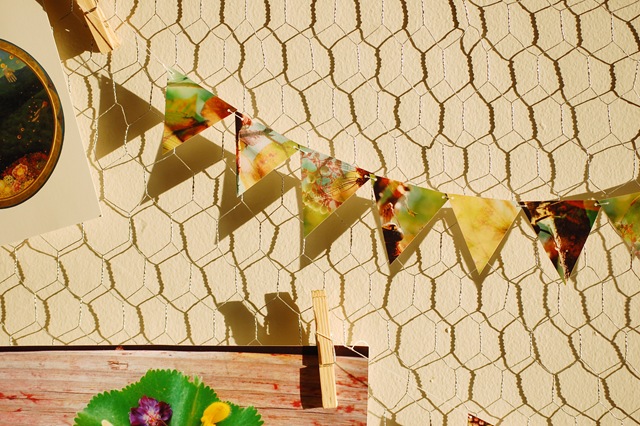 [BUNTING prop[4].jpg]