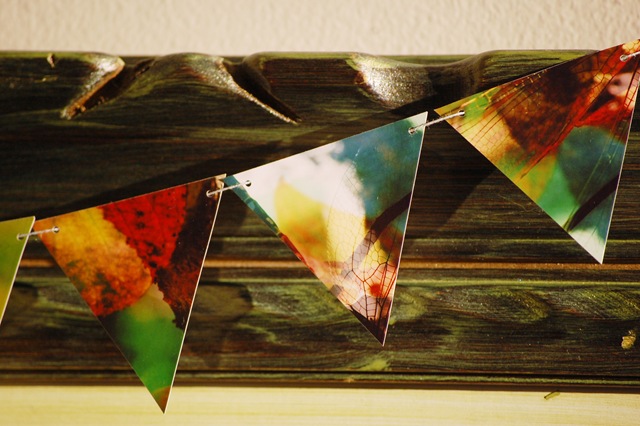 [BUNTING Dragonfly Autumn 3[4].jpg]