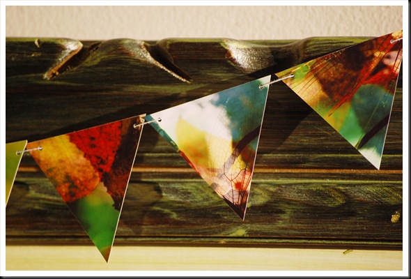 BUNTING Dragonfly Autumn 3