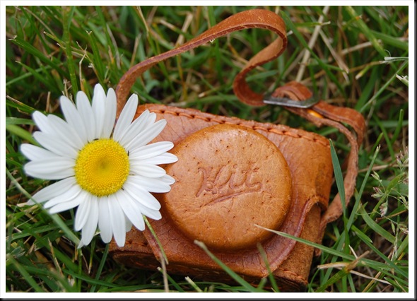 Camera and Daisy