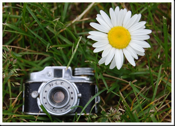 Camera and Daisy 2