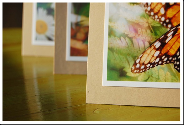 cards2