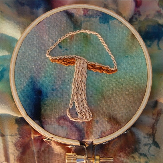[mushroom[2].jpg]