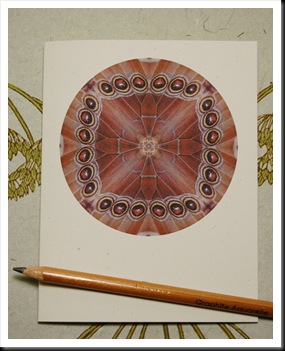 MANDALA CARDS MORPHO WHOLE