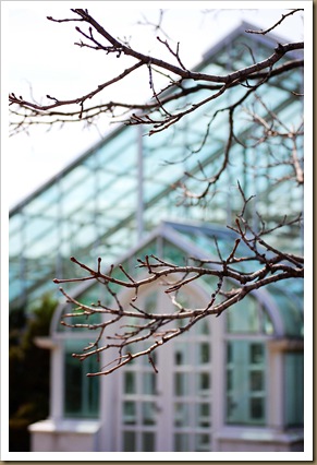 blue glass greenhouse
