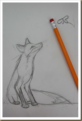fox rough draft