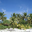 DSC04776.JPG