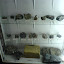 DSC00500.JPG