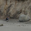 DSC04463.JPG
