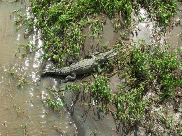 [LightningBoltSurfingCostaRica034.jpg]