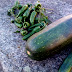 pimento padrao e courgete.jpg