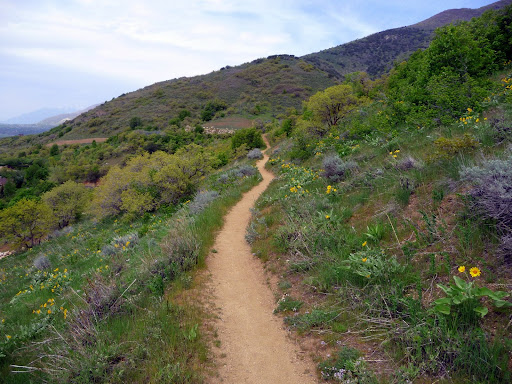 We need pictures of this section of trail. Email them to bonnevilleshorelinetrail@gmail.com.