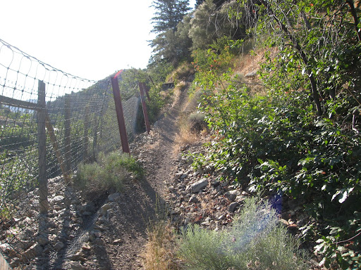 We need pictures of this section of trail. Email them to bonnevilleshorelinetrail@gmail.com.
