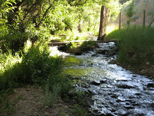 We need pictures of this section of trail. Email them to bonnevilleshorelinetrail@gmail.com.