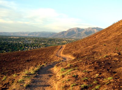 We need pictures of this section of trail. Email them to bonnevilleshorelinetrail@gmail.com.