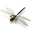 Anax09.jpg