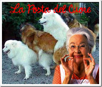 La Posta del Cuore (11)