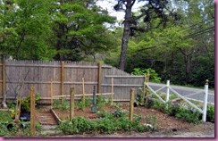 veg fence front 1