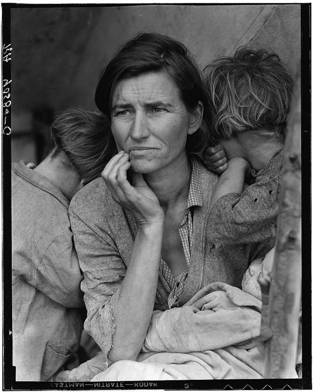 [stieglitz ]