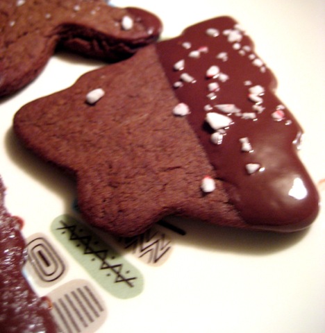[chocolate gingerbread[2].jpg]