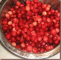 cranberries1