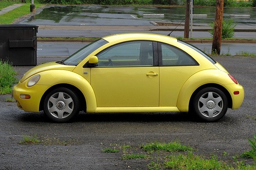 [beetle[5].jpg]