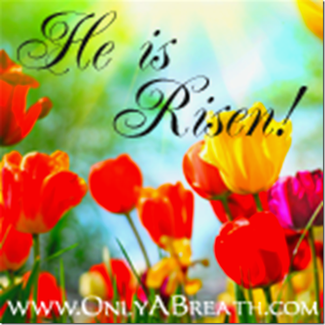 He is RISEN He is RISEN