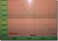 wiifit-08-11-2010