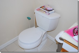 toilet...shiny and new.