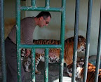 Man with his pet tiger: outside of Athens, Greece