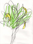 scan0005.jpg