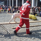 Rettungshunde Nuertingen - Messe IBO Friedrichshafen 2006