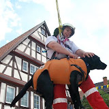 Rettungshundestaffel Nürtingen - Rettungshunde-Vorführungen Stadtfest Nürtingen Juli 2004