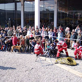Rettungshunde Nürtingen - Messevorführung Internationale Bodenseemesse IBO 2004