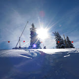 Rettungshunde Nürtingen - Schneeausbildung in Gstaad (CH) im Februar 2009